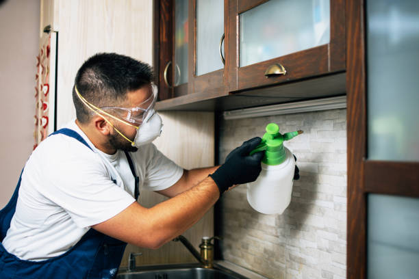 Professional Pest Control in Willow Grove, PA