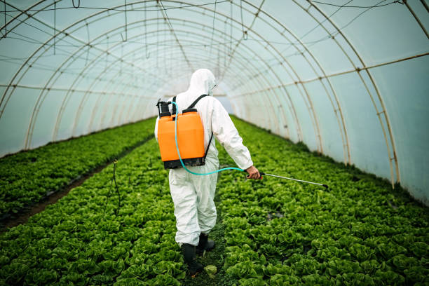Best Pest Inspection Near Me  in Willow Grove, PA